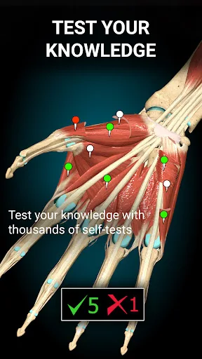 Anatomy Learning - 3D анатомия screenshot 5