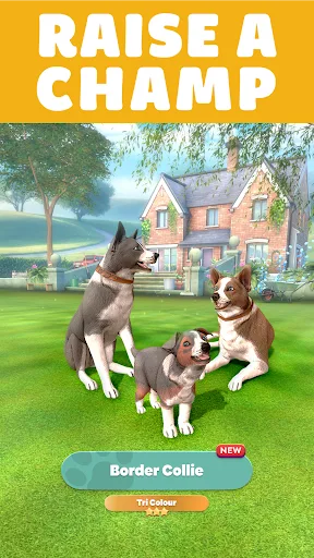 Pocket Paws: perros adorables screenshot 2