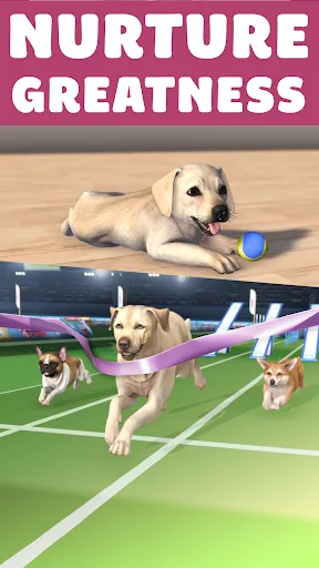 Pocket Paws: perros adorables screenshot 3