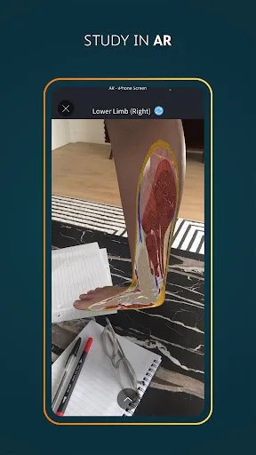 Complete Anatomy - Learn in 3D screenshot 4