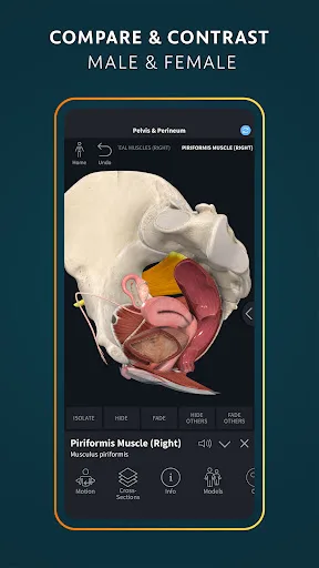 Complete Anatomy - Learn in 3D screenshot 5