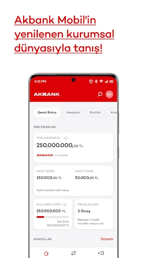 Akbank Mobil screenshot 4