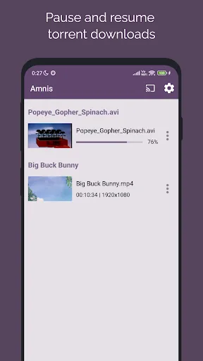 Amnis - Torrent Player screenshot 5