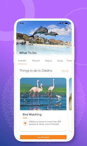 Odisha Tourism screenshot 4