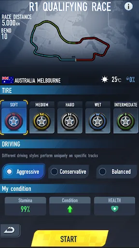Formula Rising Star screenshot 3