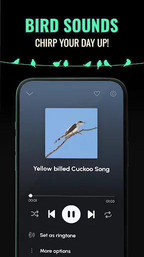 Рингтоны на Звонок для Андроид screenshot 5