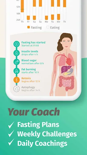 BodyFast: Ayuno Intermitente screenshot 4