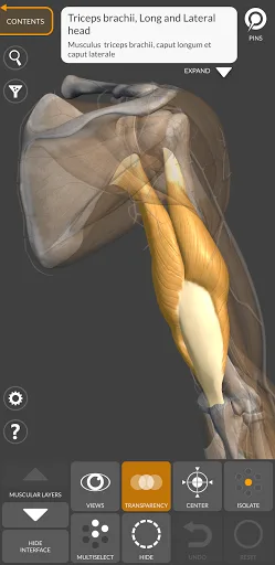 3D Анатомия для художников screenshot 3