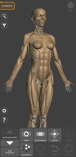 3D Анатомия для художников screenshot 4