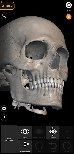 Скелет | 3D Анатомии screenshot 4