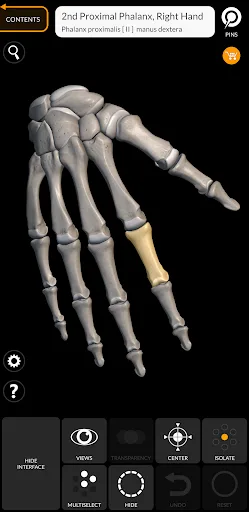 Скелет | 3D Анатомии screenshot 5