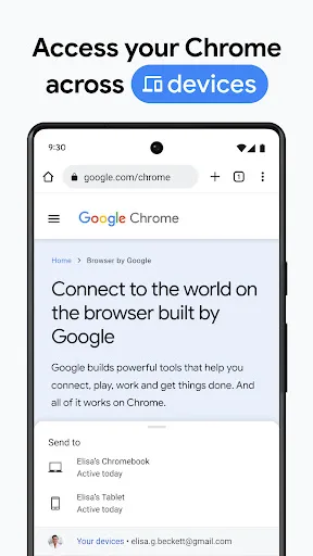 Chrome Canary (Нестабильная) screenshot 5