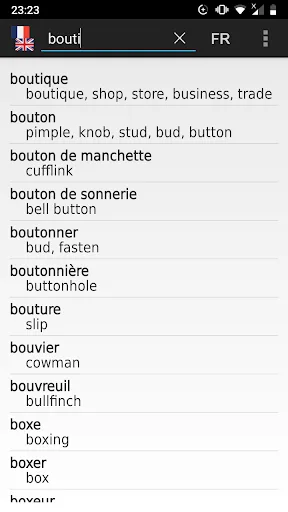 French - English offline dict. screenshot 1