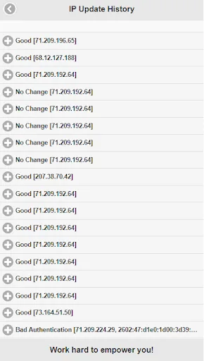Dynu screenshot 5