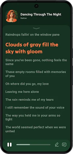 Lark Player: Музичний плеєр screenshot 3