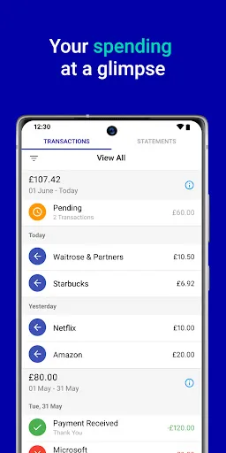 Aqua credit card screenshot 3