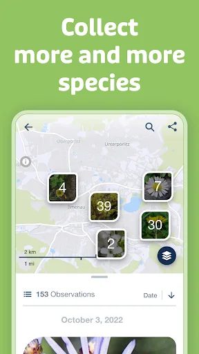 Flora Incognita screenshot 4