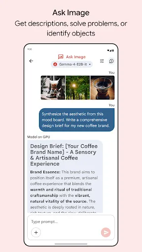 Google AI Edge Gallery screenshot 4