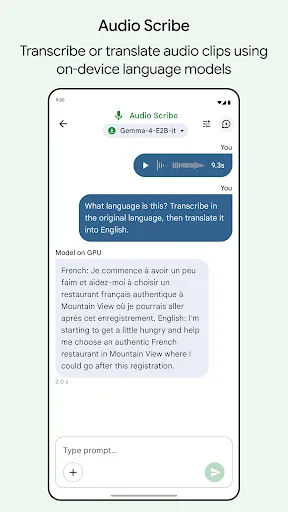 Google AI Edge Gallery screenshot 5