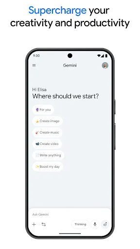 Google Gemini screenshot 3