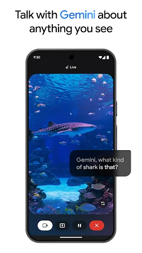 Google Gemini screenshot 4