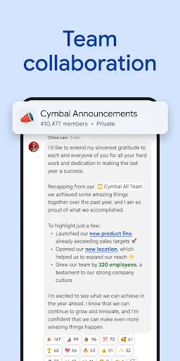 Google Chat screenshot 3