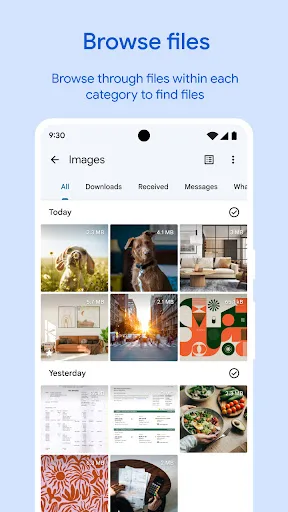 Google Files screenshot 2