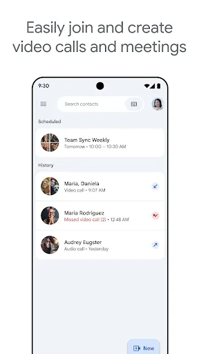 Google Meet screenshot 1