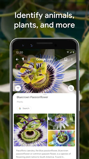 Google Об’єктив screenshot 4