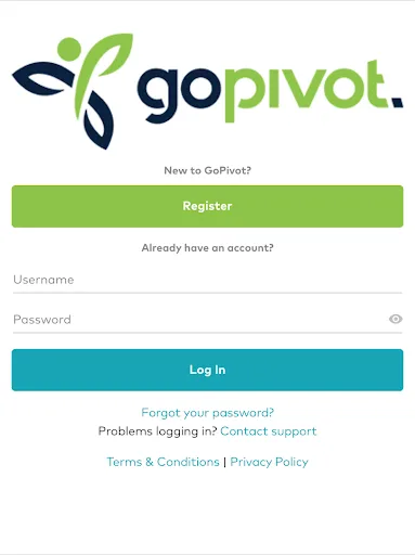 GoPivot screenshot 3