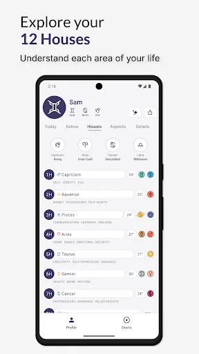 Horos - Birth Chart screenshot 3