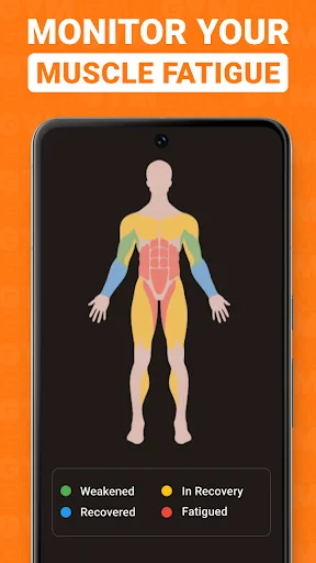 Gym WP - Ejercicio de Gimnasio screenshot 5
