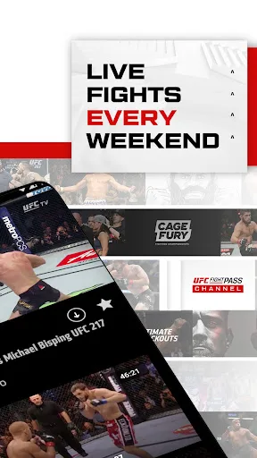 UFC screenshot 2