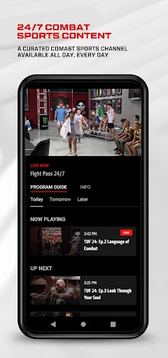 UFC screenshot 3