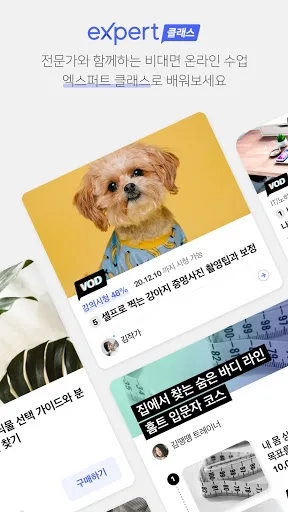 네이버 지식iN, 엑스퍼트 screenshot 3