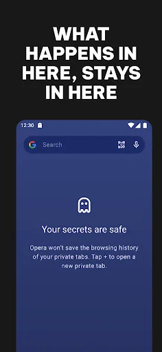 Приватний браузер Opera з VPN screenshot 4