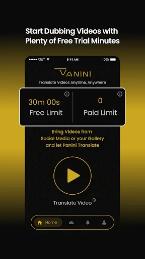 Panini AI Video Translator Dub screenshot 1