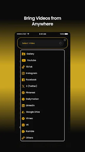 Panini AI Video Translator Dub screenshot 2