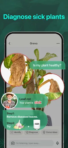 PlantAI-Identifica&Diagnostica screenshot 4