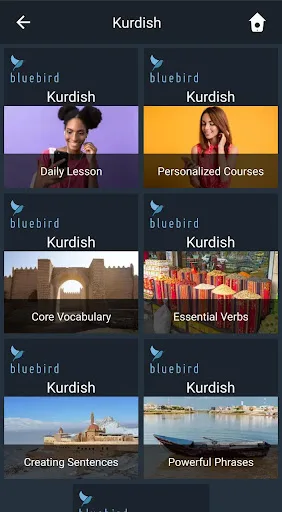 Learn Kurdish. Speak Kurdish.  screenshot 1