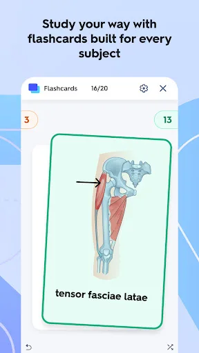 Quizlet: картки на основі ШІ screenshot 2