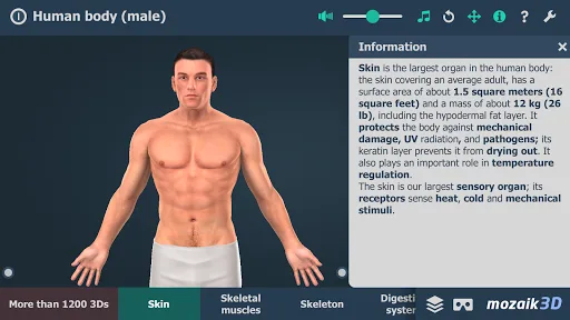 El cuerpo humano en 3D screenshot 1