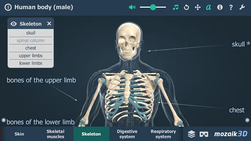 El cuerpo humano en 3D screenshot 3