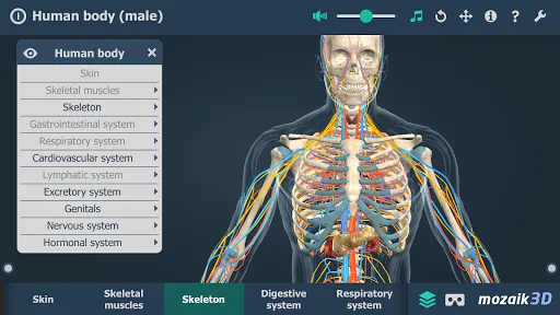 El cuerpo humano en 3D screenshot 4
