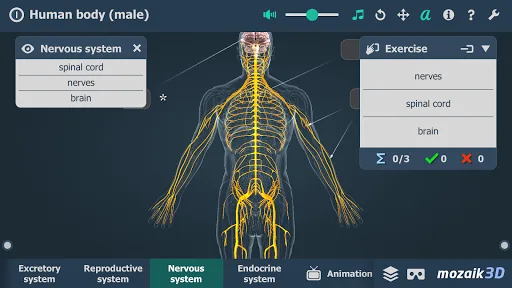 El cuerpo humano en 3D screenshot 5