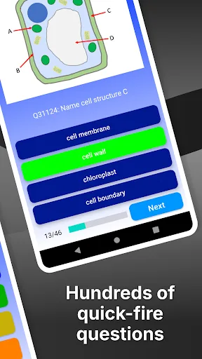 GCSE Science Foundation screenshot 3