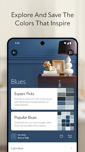 Sherwin-Williams Color Expert™ screenshot 2