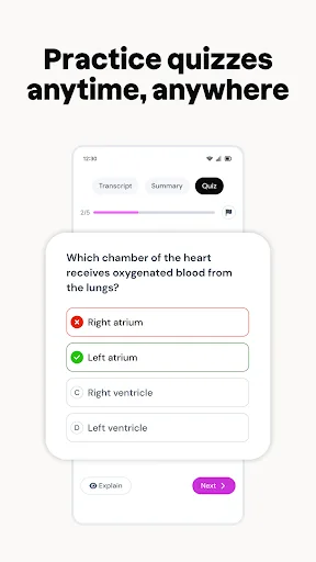 Studocu: AI Notes & Summaries screenshot 4