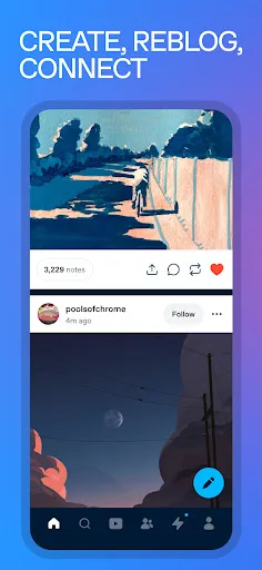 Tumblr Social Media & Art Blog screenshot 2