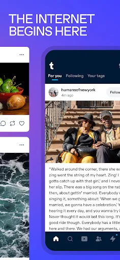 Tumblr Social Media & Art Blog screenshot 5